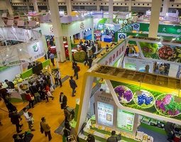 8868澳门新威斯尼平台